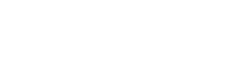 TRAVELO